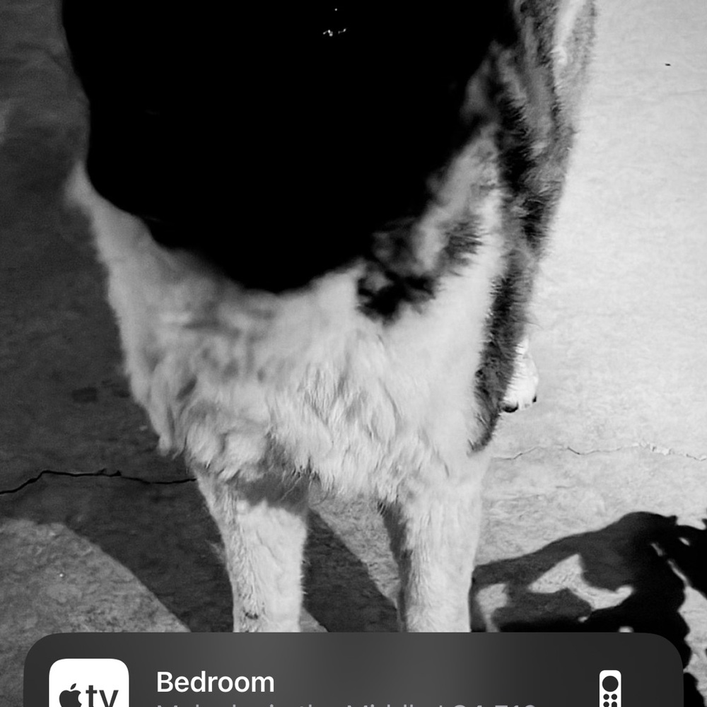 Meet your Posher, Natalie